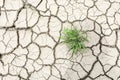 soil drought cracked texture Royalty Free Stock Photo