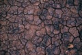 Soil drought, cracks in dry land Royalty Free Stock Photo