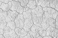 Soil drought cracks texture white background for design. Royalty Free Stock Photo