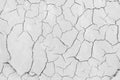 Soil drought cracks texture white background for design Royalty Free Stock Photo