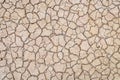 Soil drought cracks texture white background for design Royalty Free Stock Photo