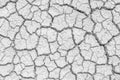 Soil drought cracks texture white background for design. Royalty Free Stock Photo