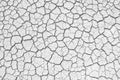 Soil drought cracks texture white background for design. Royalty Free Stock Photo