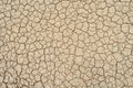 Soil drought cracks texture white background for design Royalty Free Stock Photo