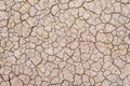 Soil drought cracks texture white background for design Royalty Free Stock Photo