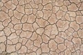 Soil drought cracks texture white background for design Royalty Free Stock Photo