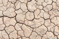 Soil drought cracks texture white background for design Royalty Free Stock Photo