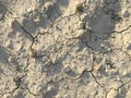 Soil drought dry earth cracked texture ground Royalty Free Stock Photo