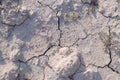 Soil drought dry earth cracked texture ground -1 Royalty Free Stock Photo