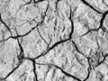 The soil dry land cracked ground surface. Royalty Free Stock Photo