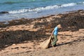 Soil enriching - Seaweed