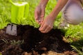 Close up of female hands enriching soil near just planted tree