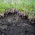 Soil Erosion in the Agricultural Field Royalty Free Stock Photo