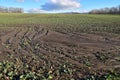 soil erosion wasted field Royalty Free Stock Photo