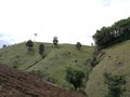 Soil erosion in hillside maize production