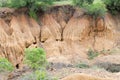 Soil erosion Royalty Free Stock Photo