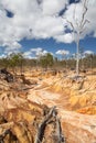 Soil erosion by overgrazing desertification Royalty Free Stock Photo