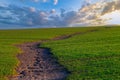 Soil erosion. The rains have eroded the soil in the agricultural field. Formation of ravines in the field due to Royalty Free Stock Photo