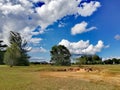 Soil erosion and slumping