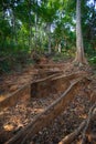 Soil Erosion Royalty Free Stock Photo