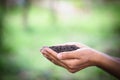 Soil in farmers hand green background