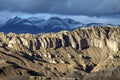 Soil forest in Tibet plateau