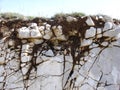 Soil formation on limestone