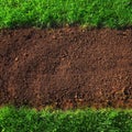 Soil and grass background Royalty Free Stock Photo