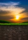 Soil with Grass in Sunset Background Royalty Free Stock Photo