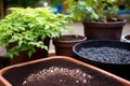 soil and gravel for bonsai potting