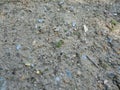 Soil on the ground with little stones texture and background Royalty Free Stock Photo