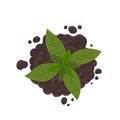 Soil for growing and plant sprout germinate seedlings. On the pile of soil ground. Top view. Vector illustration.