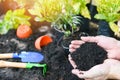 Soil in hand for planting flower in the garden - growing plant works of gardening tool plant at back yard Royalty Free Stock Photo