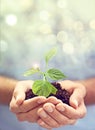 Soil, hands of person and plants on bokeh background to support earth, sustainability and mockup. Closeup, nature and