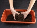 Soil in the hands of women, plastic flower pot