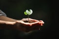 Soil and heart shape plant leaf and sprout in hand and precious life and love concept