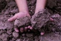 Soil in kids hand, cultivated dirt, earth, ground, brown land b