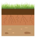 Soil layer