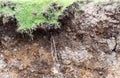 Soil layer erodes water erosion. Royalty Free Stock Photo