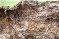 Soil layer erodes water erosion. Royalty Free Stock Photo