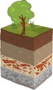 Soil layer