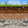 Soil layers diagram with grass, earth texture, stones, plant roots, underground species
