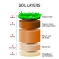 Soil layers Royalty Free Stock Photo