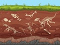 Soil layers with fossils. Ground layers with dinosaur bones and fossil skeletons, paleontology excavations cartoon Royalty Free Stock Photo