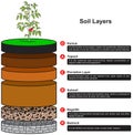 Soil layers infographic diagram biology geology agriculture science dirt