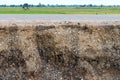 Soil layers under the road and paddy fields. Royalty Free Stock Photo