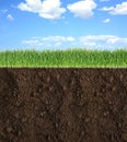Soil with lush green grass and beautiful blue sky with clouds Royalty Free Stock Photo