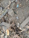 soil mixed with garbage, chicken scratch marks, which is near the residents' garbage disposal site, taken at a high angle