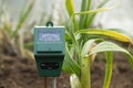 Soil moisture meter placed in garden, surrounded by plants Royalty Free Stock Photo