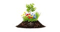 Soil Mound with Roots, Flowers, Tree Sapling, and Worms Royalty Free Stock Photo